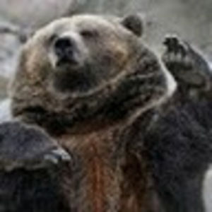 Meet your Posher, Mr_